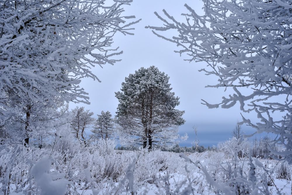 Фотография автора Варвара Сосновская