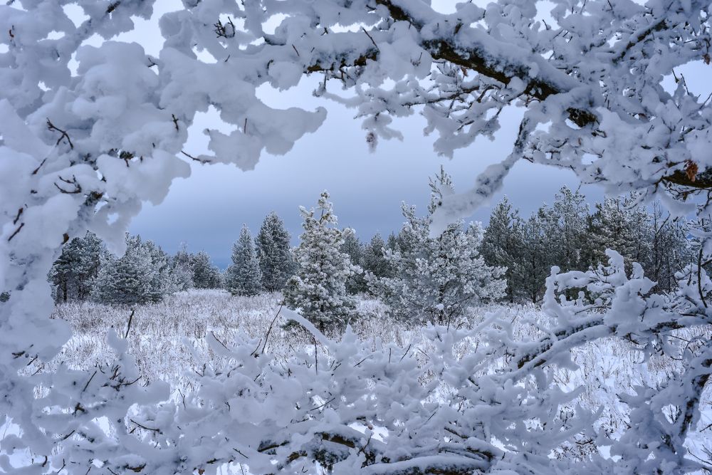 Фотография автора Варвара Сосновская