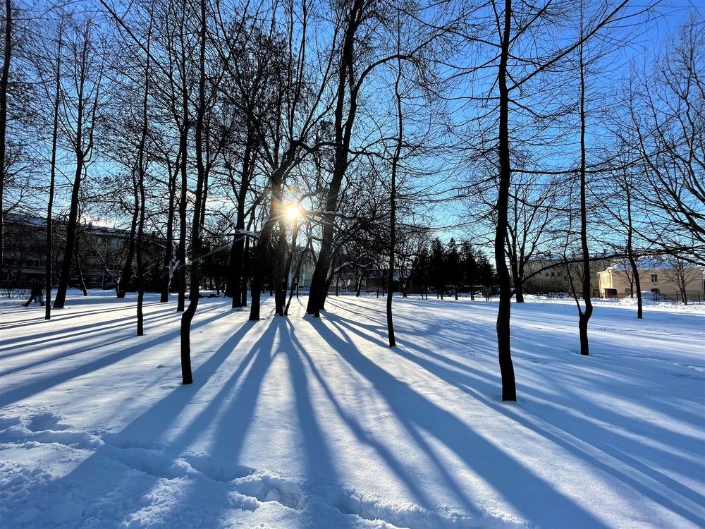 Photograph by Olga Oginskaya