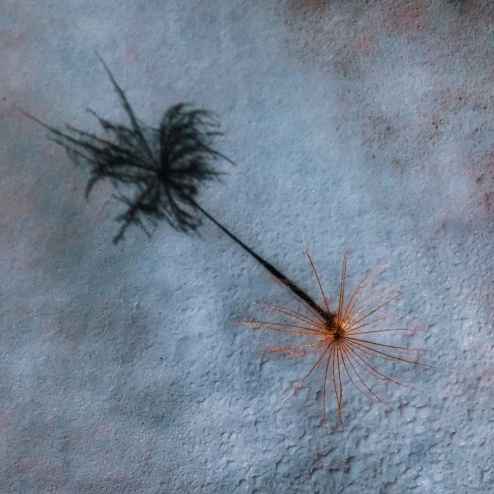 Photograph by Виолетта Афанасьева