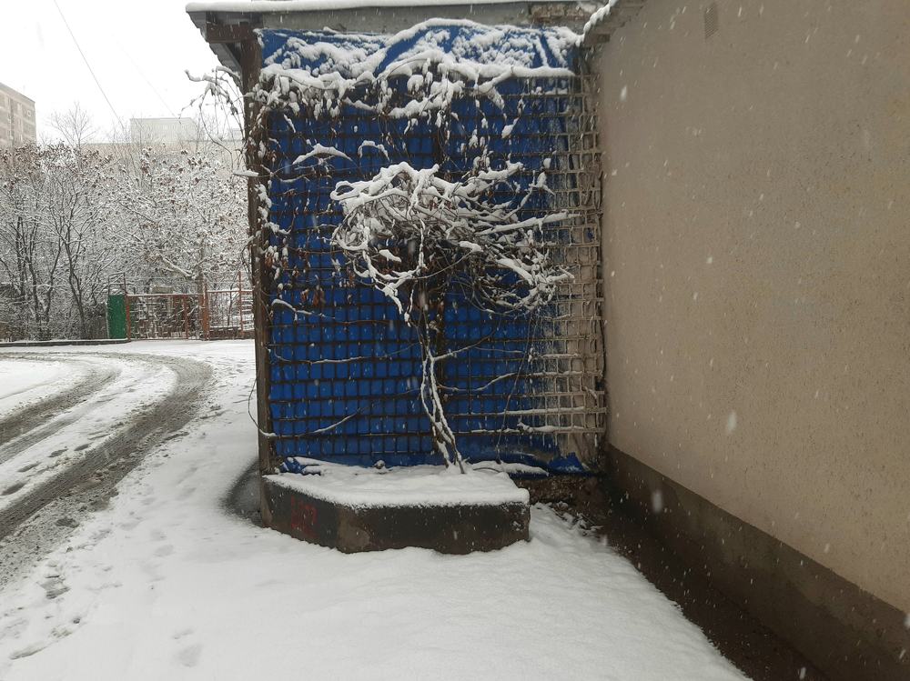 Photograph by Марина Рафаелян