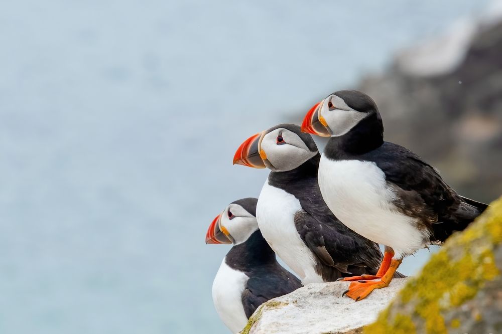 Photograph by Nora Young