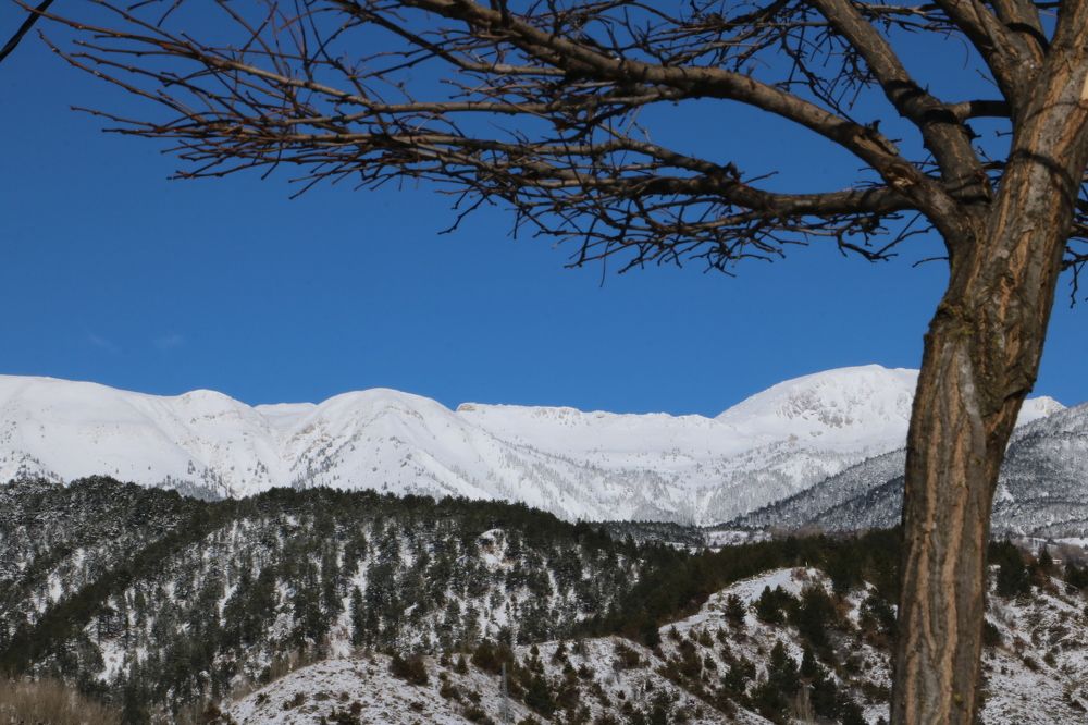 Photograph by Cengiz Yalcin