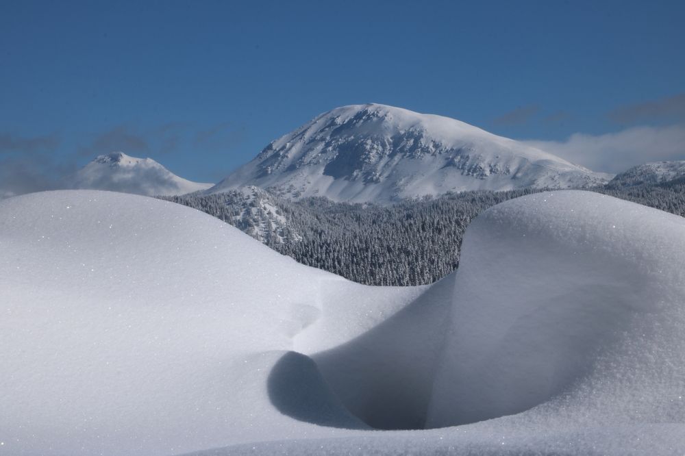 Photograph by Cengiz Yalcin