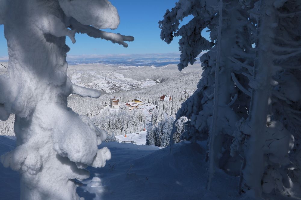 Photograph by Cengiz Yalcin