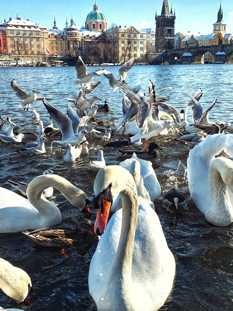 Photograph by Юлия Казакова