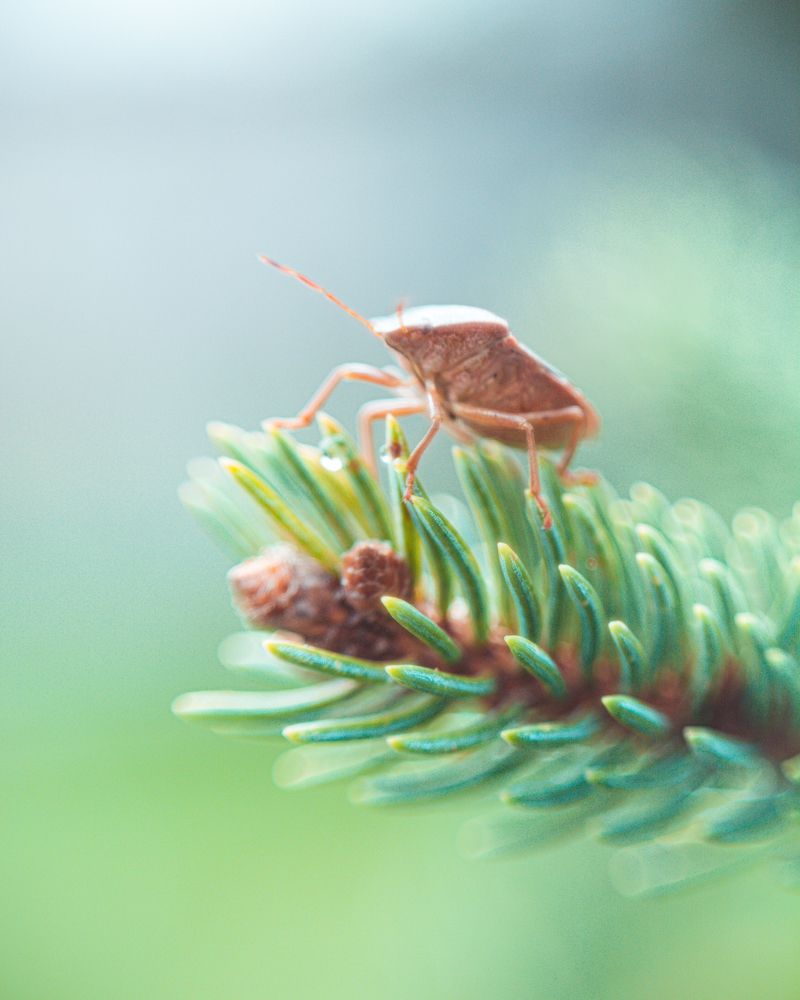 Photograph by Евгений Журихин