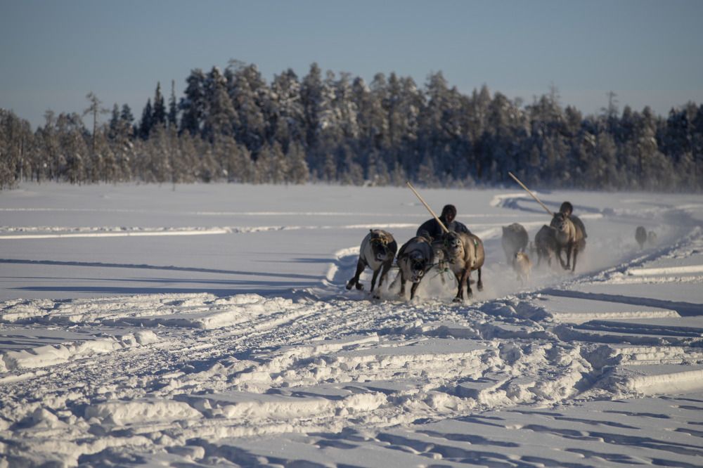 Photograph by Elena Kostochkina