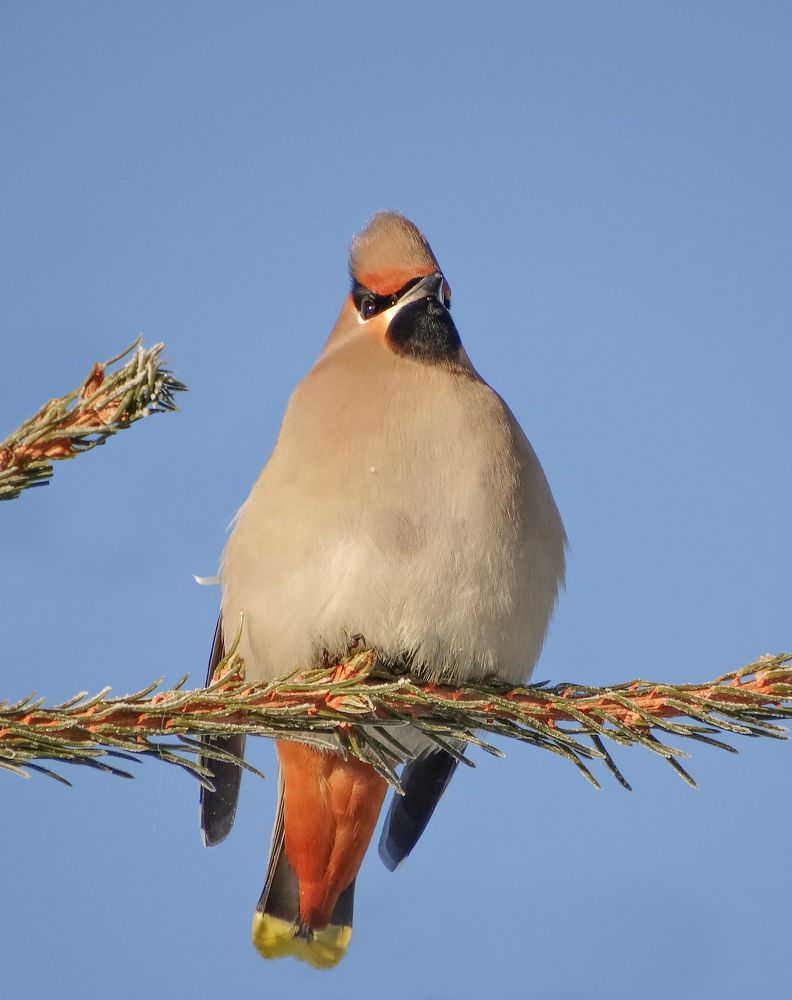 Photograph by Александр Андриянов