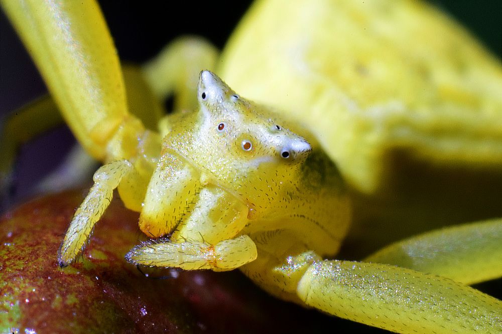 Photograph by Елена Манаева