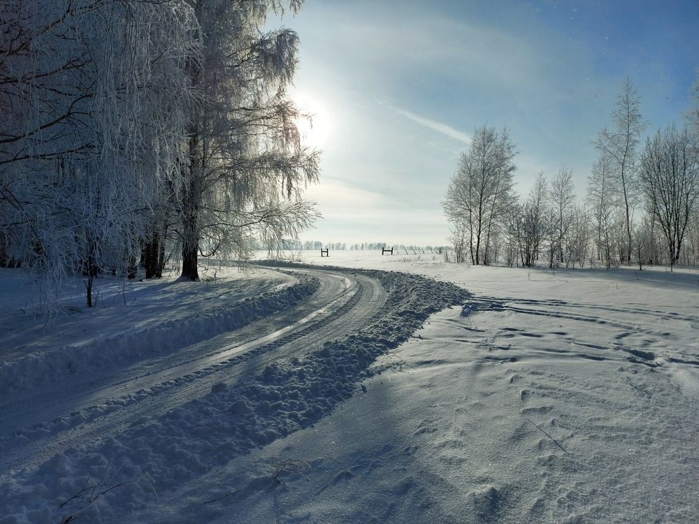 Снежное февральское утро.