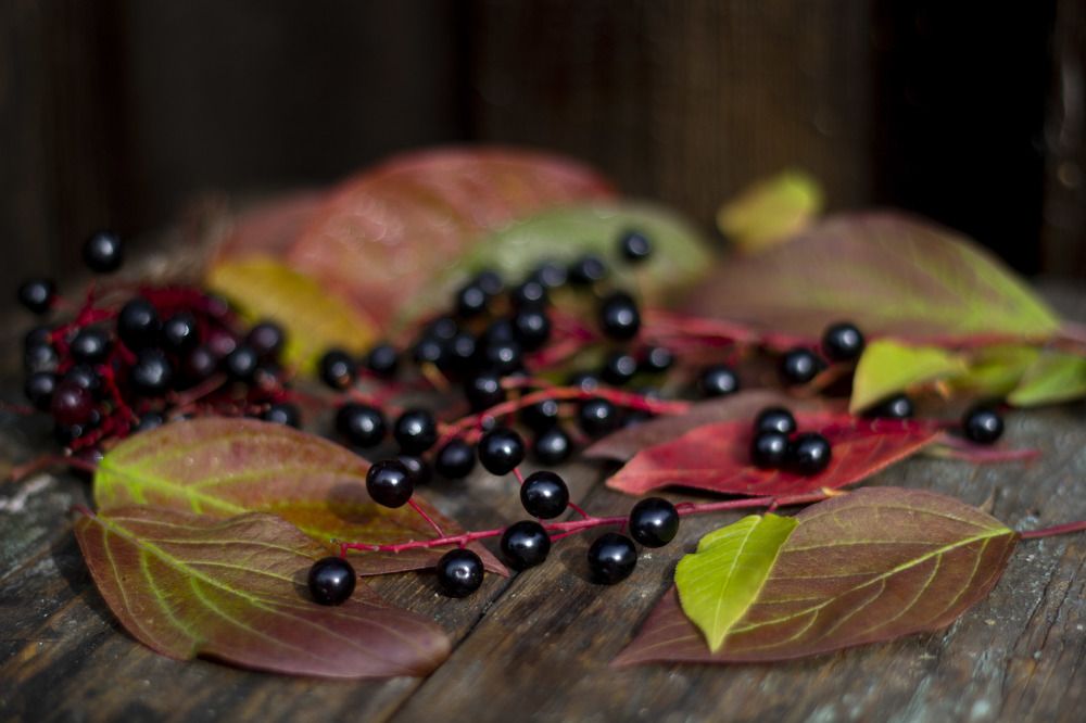 Photograph by Elena Kostochkina