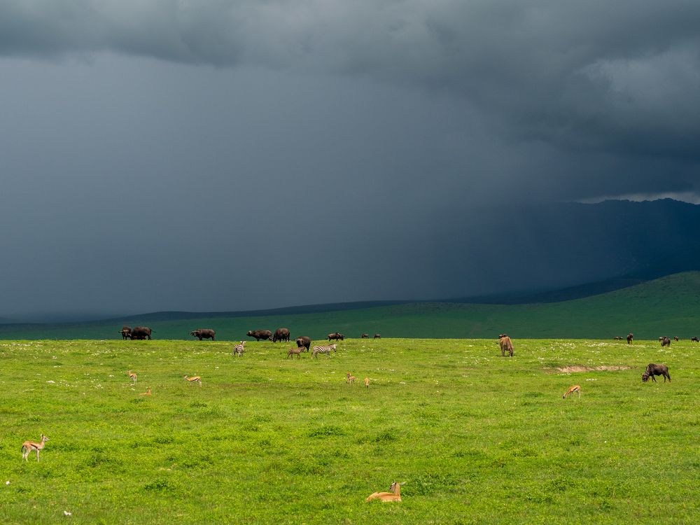Photograph by Anatoly Serebrennikov