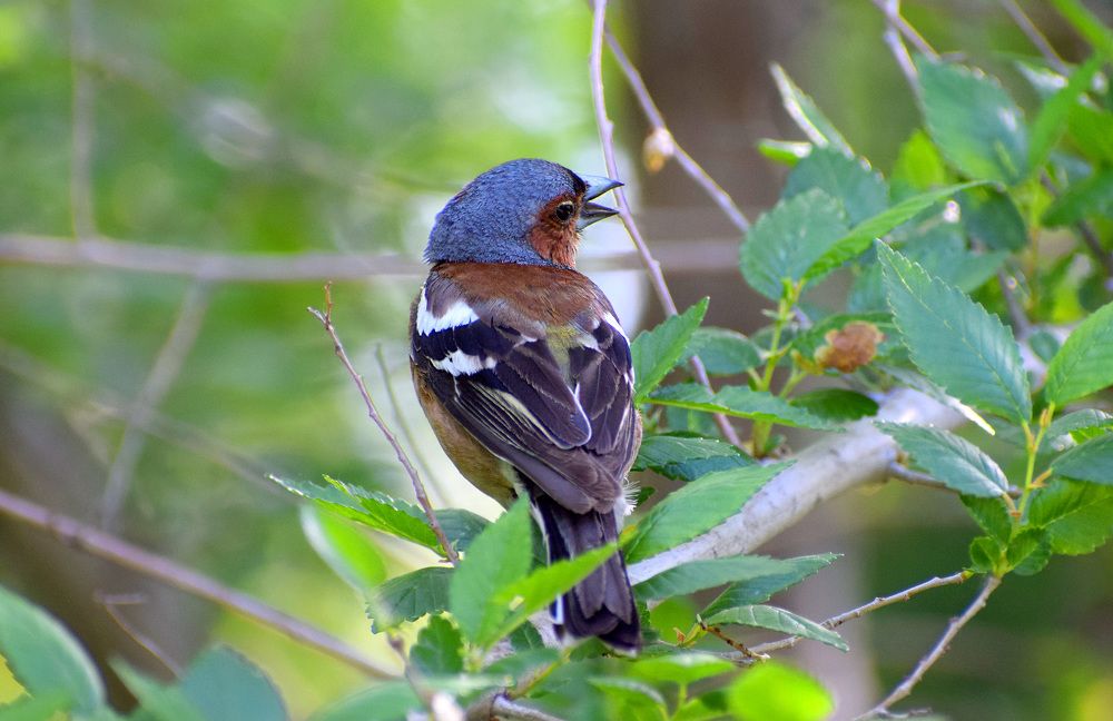 Photograph by Елена Манаева