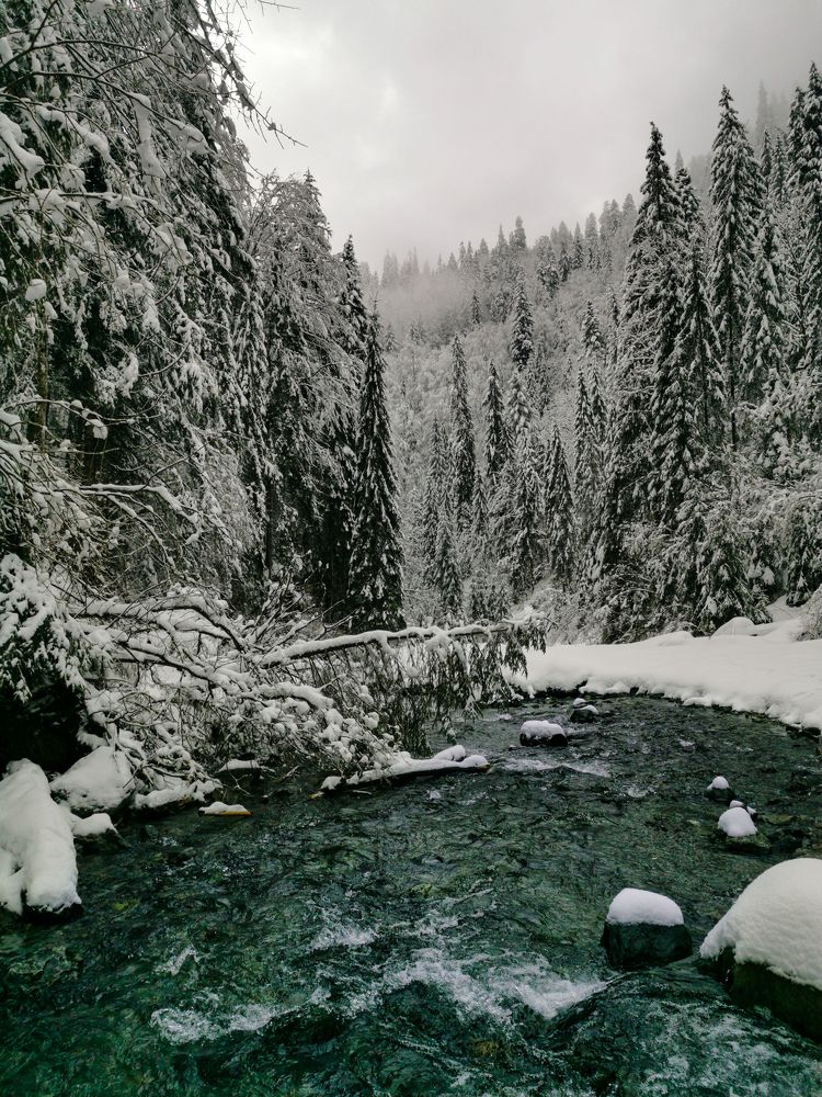 Photograph by Владимир Дихтенко