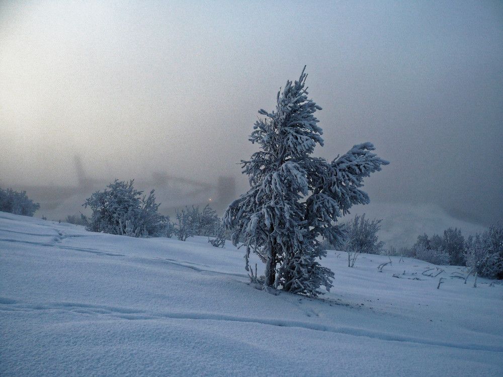 Photograph by Юрий Можейко