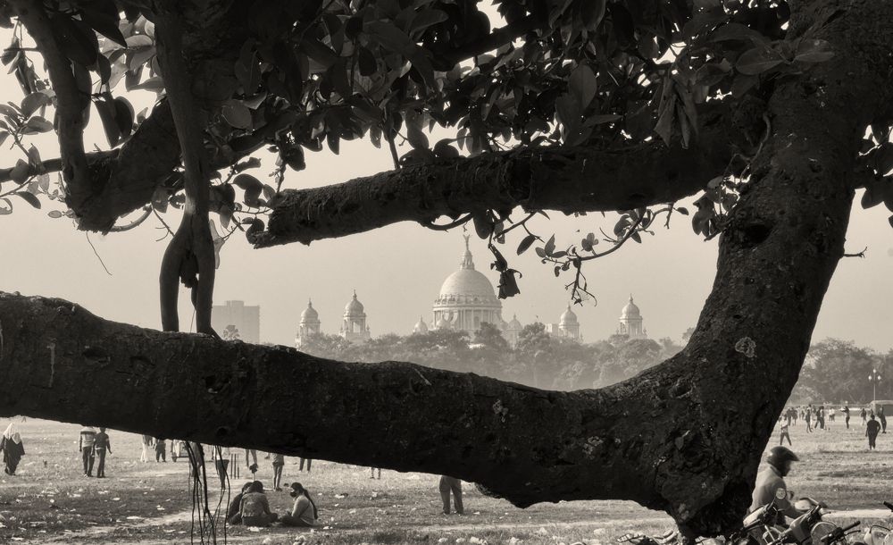 Photograph by Abhijit Sen