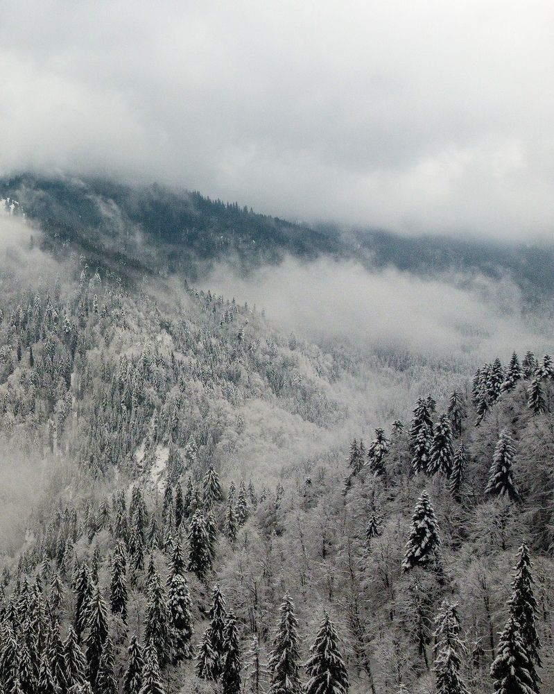 Photograph by Владимир Дихтенко