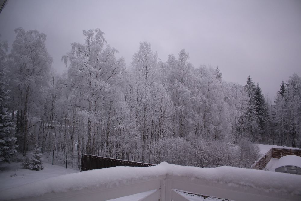 Photograph by Владимир Платонов
