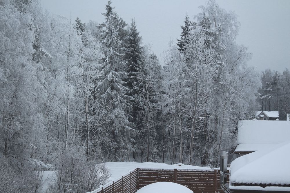 Photograph by Владимир Платонов