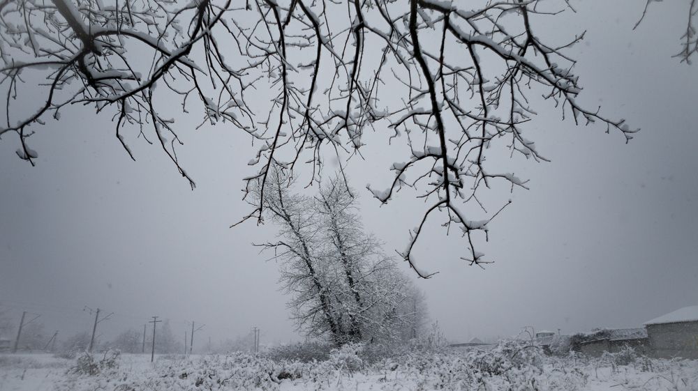 Photo #5772811
