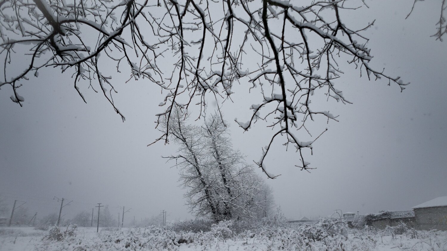 Photo #5772811