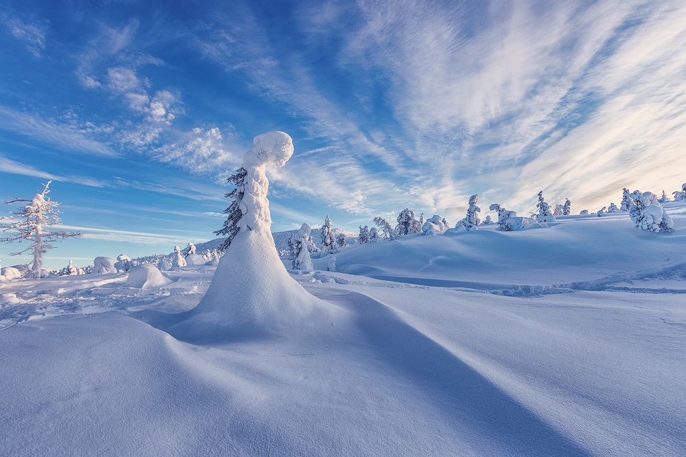 Photograph by Владимир Липецких
