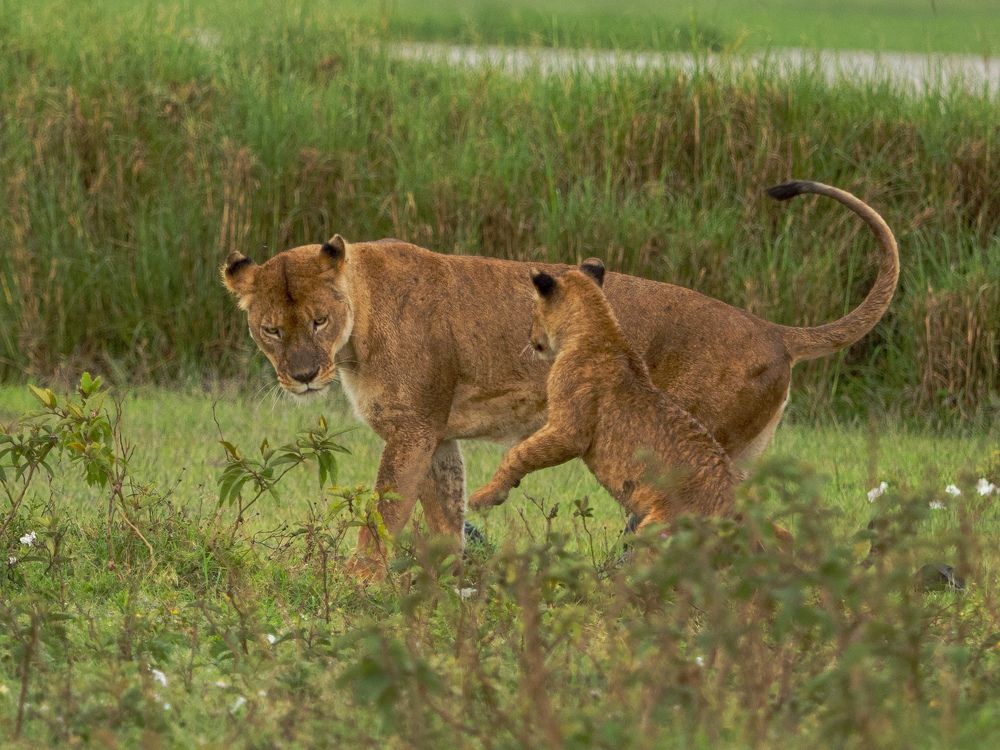 Мать и дитя