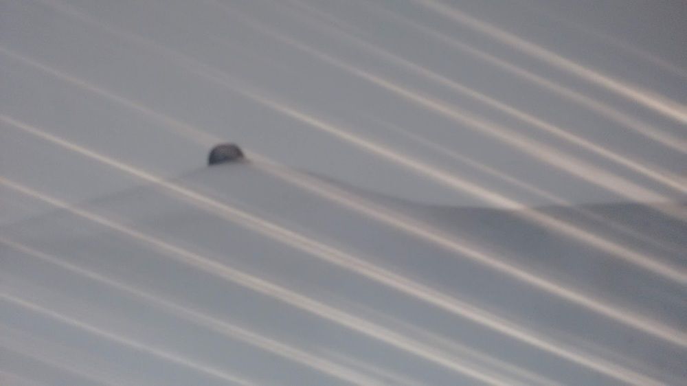 Photograph by Anna Suchcicka