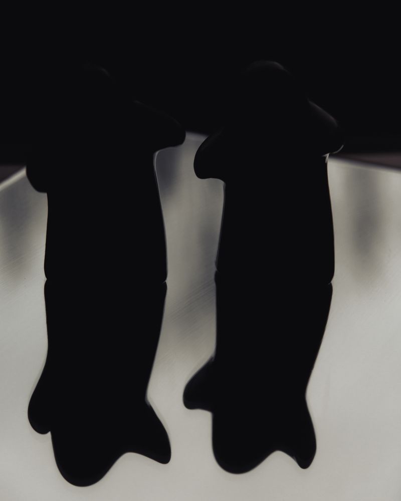 Photograph by Евгений Журихин