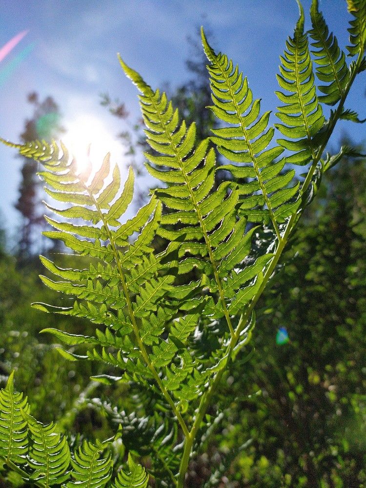 Photograph by Екатерина Мелехина