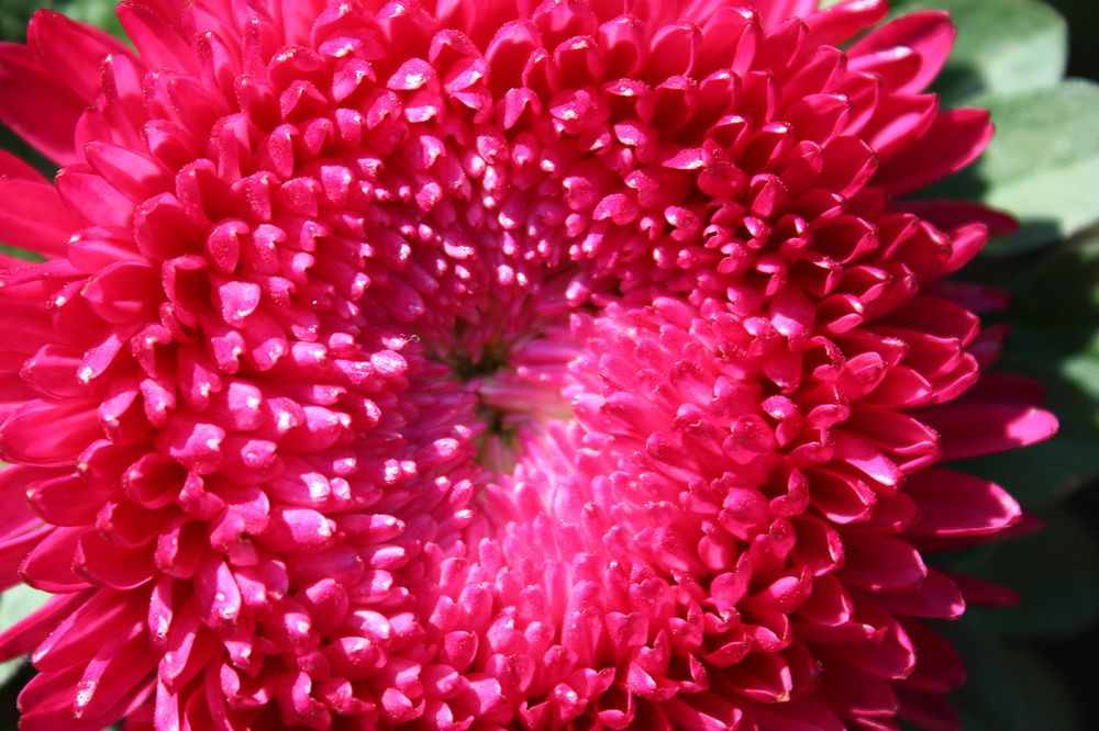 Фотография автора Никита Гутор