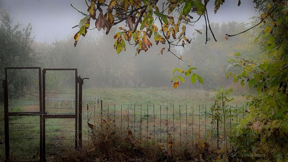 Photograph by Леонид Борисенко