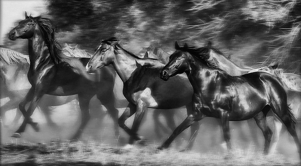 Photograph by Валентин Александров