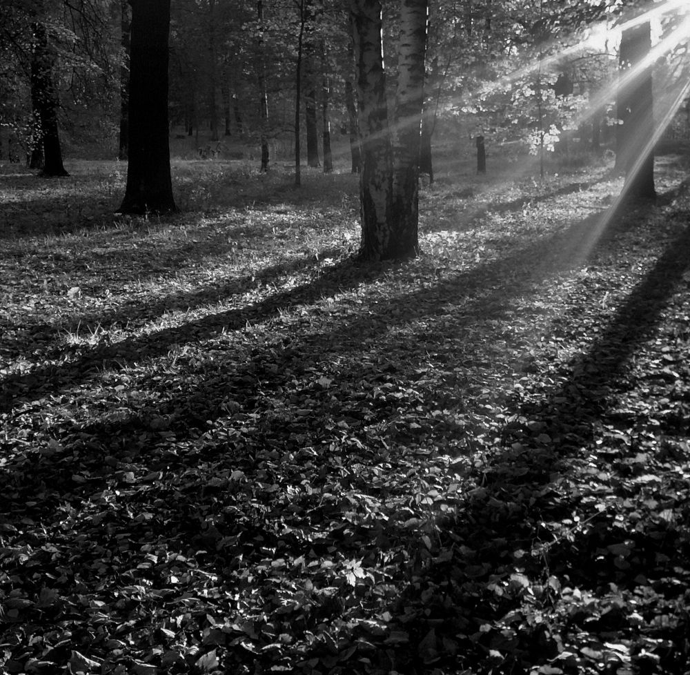 Photograph by Вячеслав