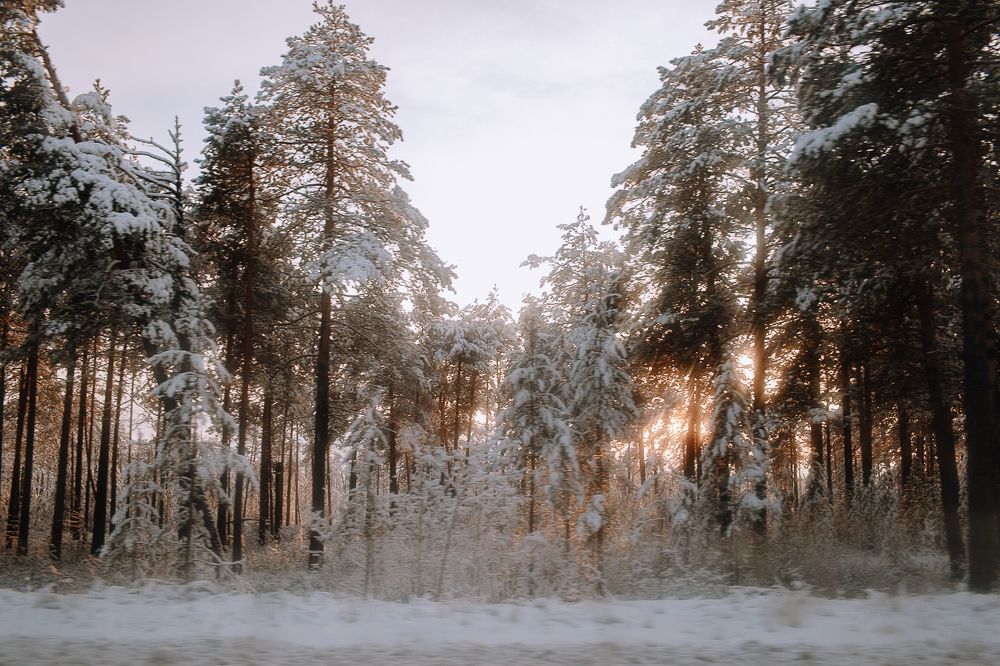 Photograph by Кристина Глухова