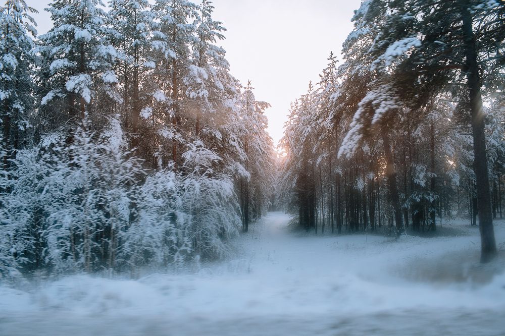 Photograph by Кристина Глухова