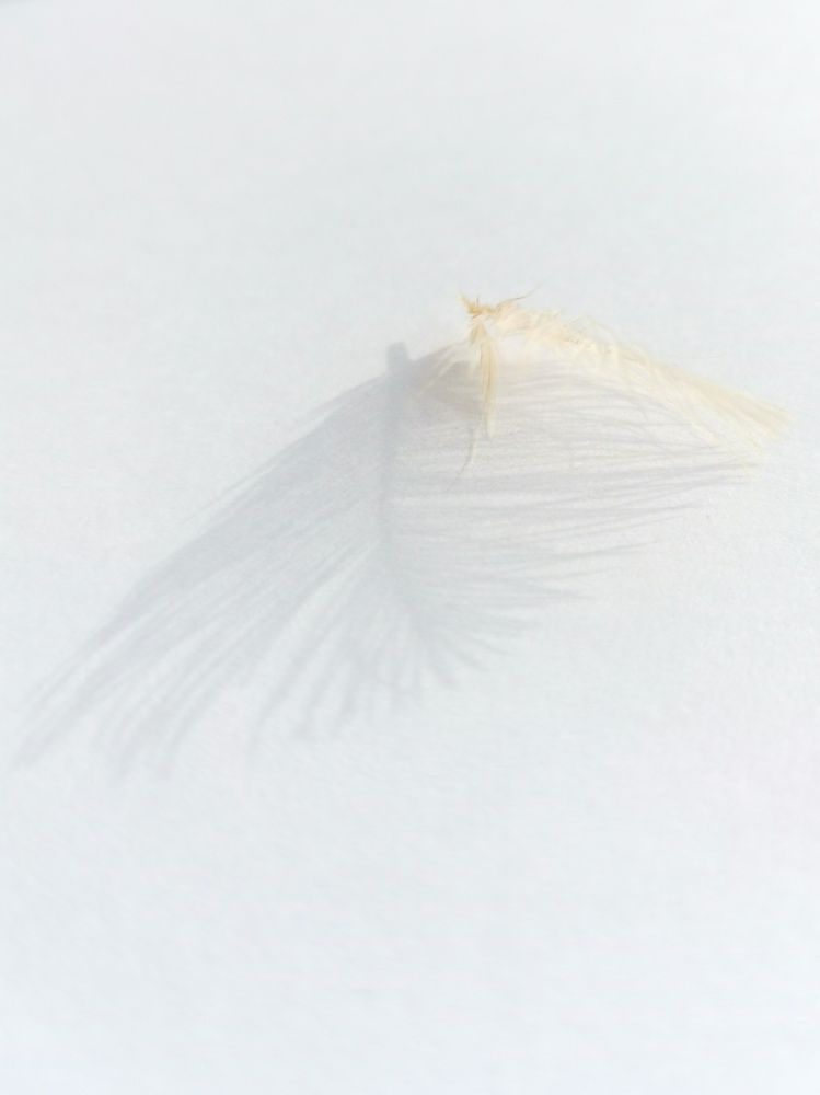 Photograph by Нина Сучкова