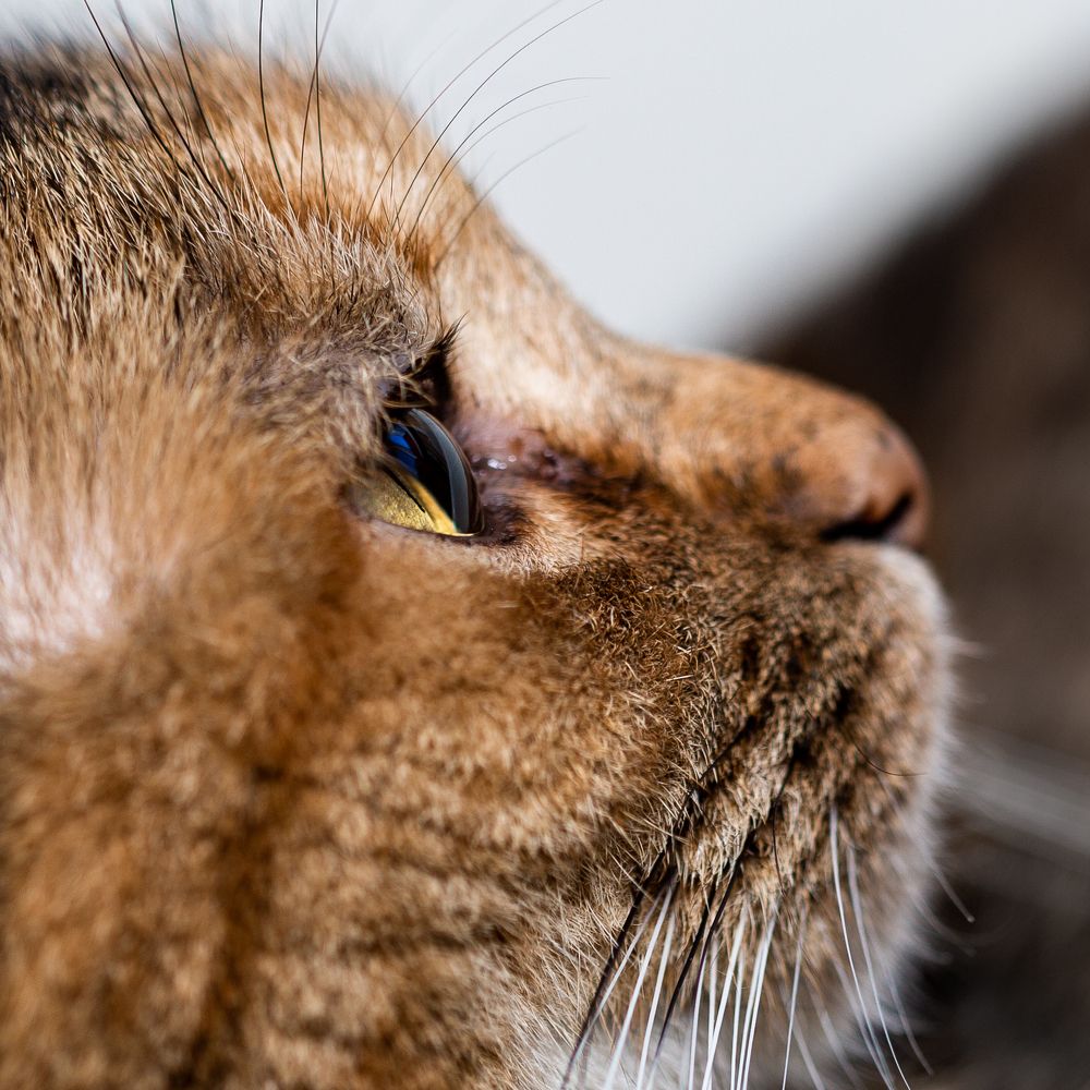 Photograph by Оксана Пучкова