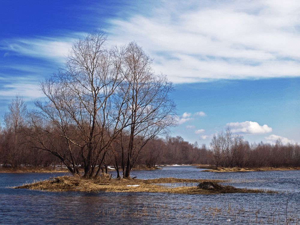 Photograph by Сергей Пупков