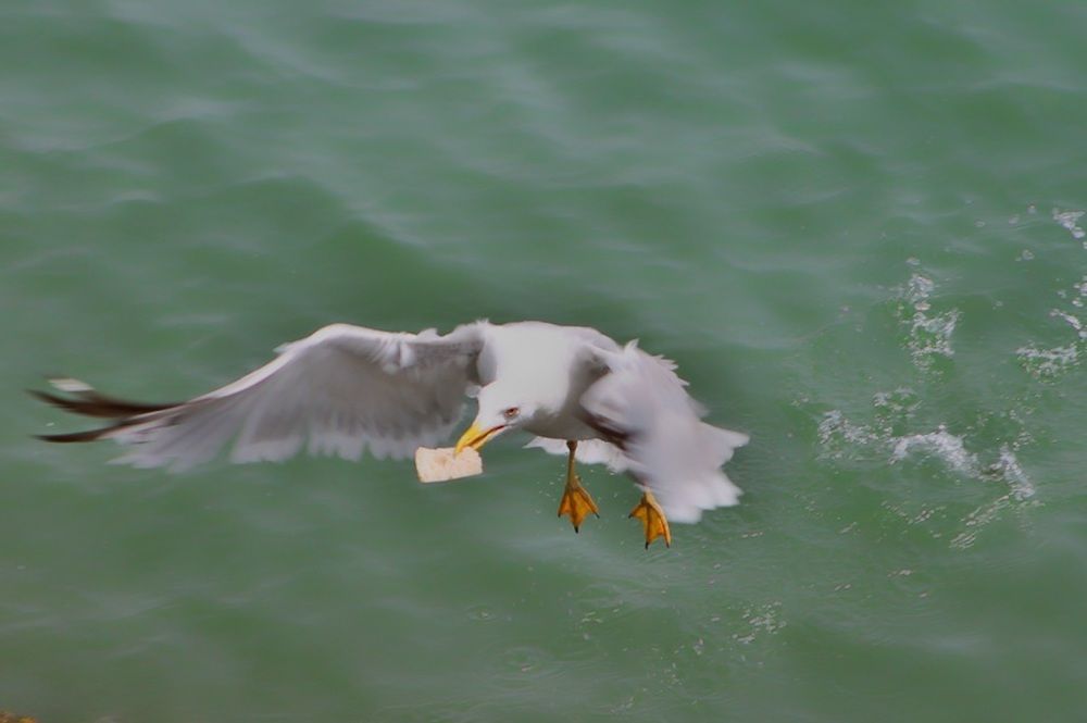 Photograph by Francisco Ferreira