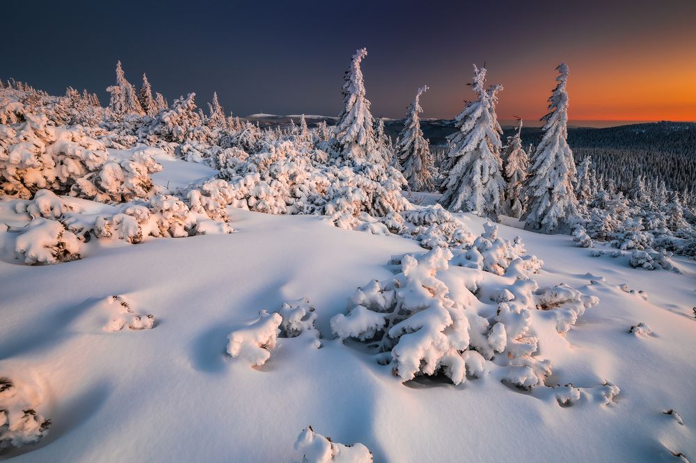 Photograph by Pawel Uchorczak