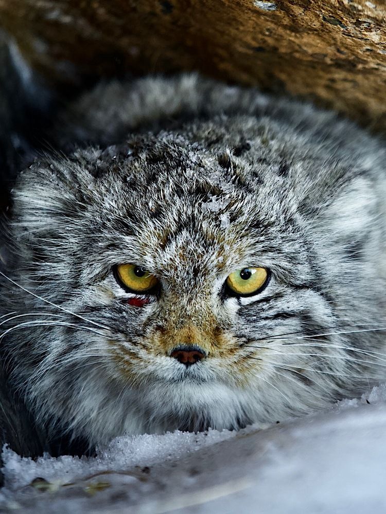 Photograph by Мазурин Евгений