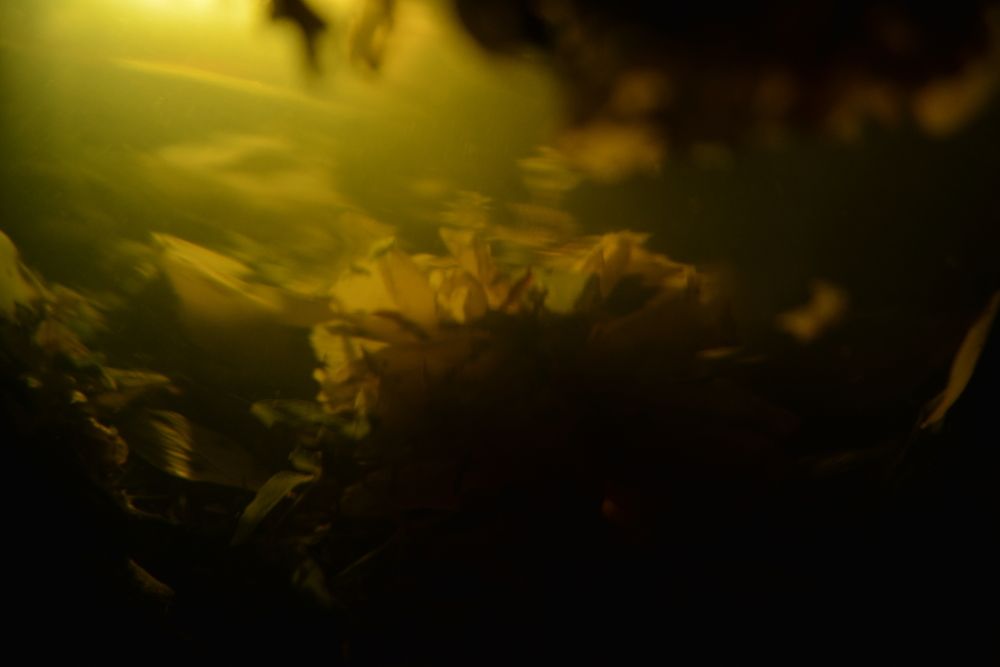 Photograph by Ксения Вострикова