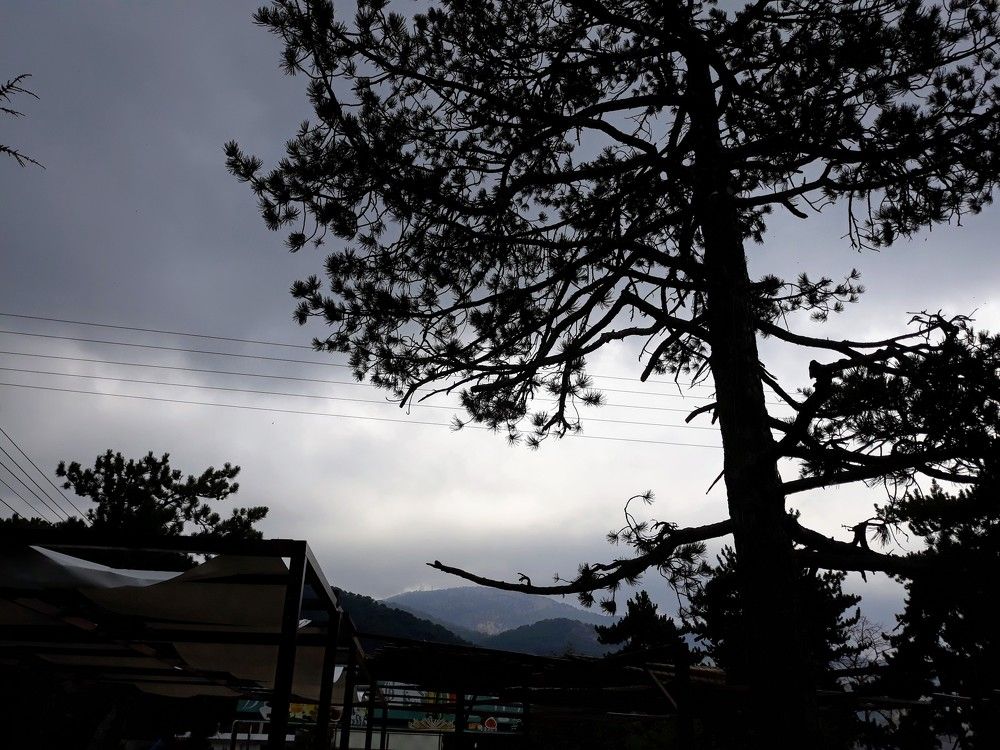 Photograph by Инга Халиуллина