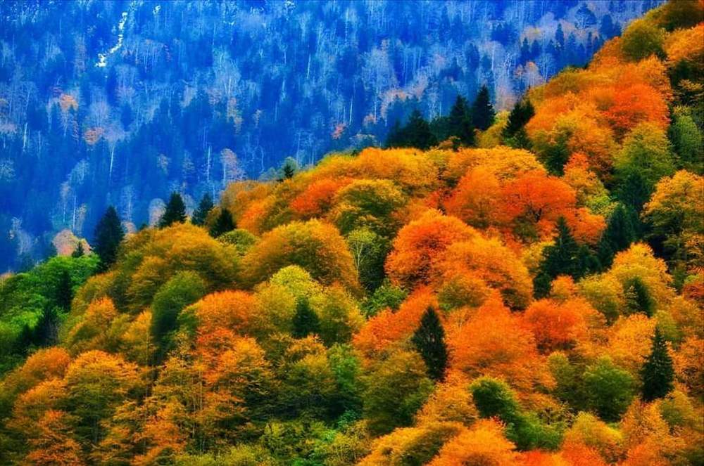 Photograph by A.Nur TÜrk