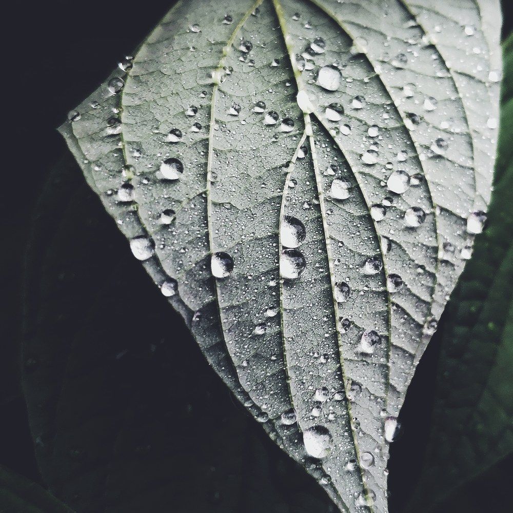 Фотография автора Мария Капатурина