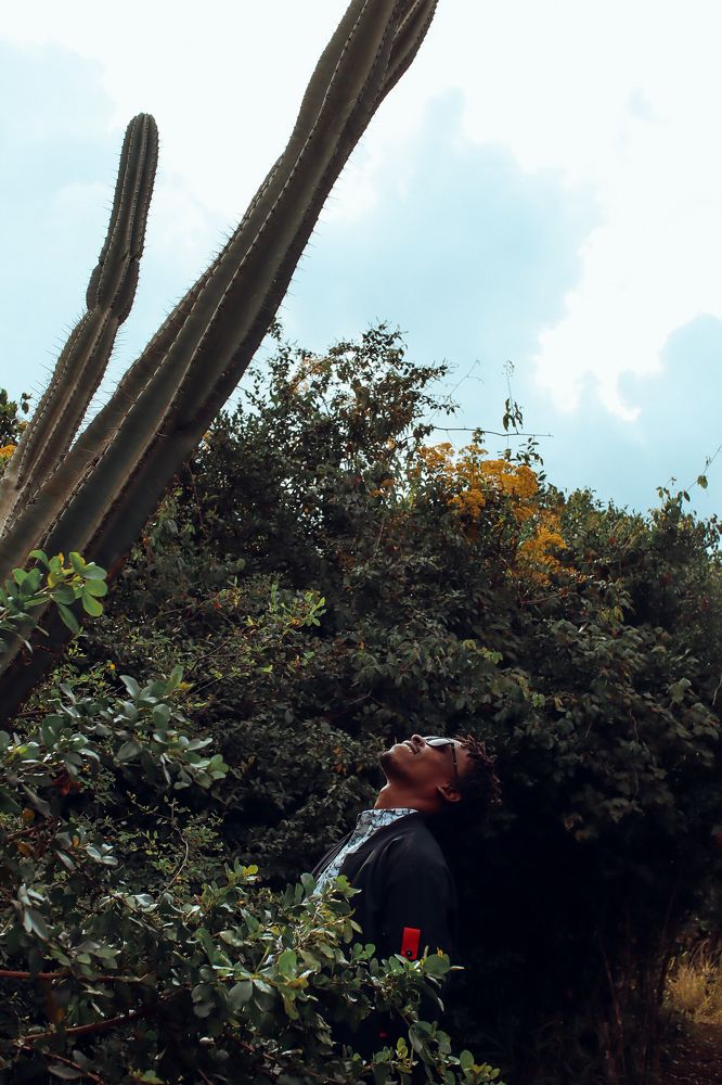 Cactiman