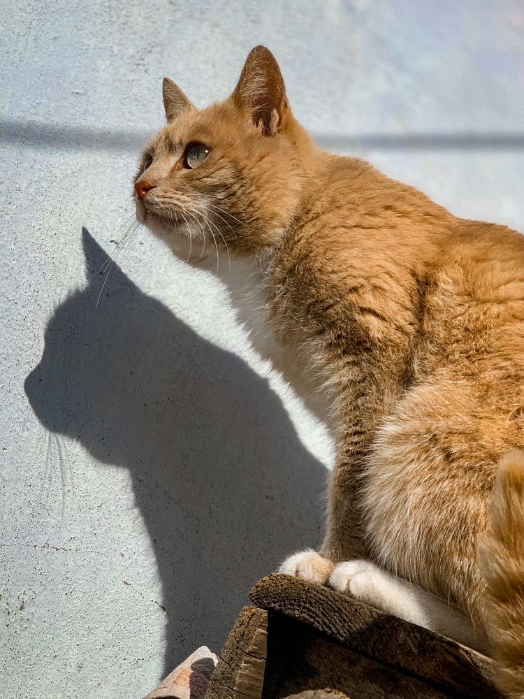 Photograph by Анна Адаменко