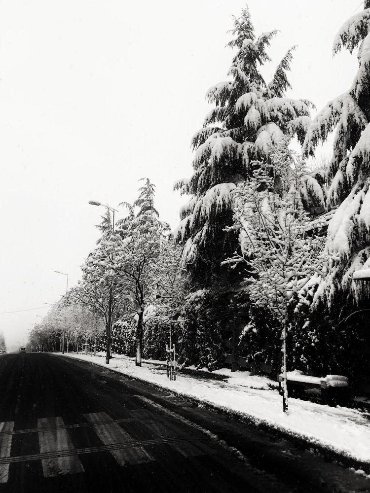Photograph by Nazanin shirazi